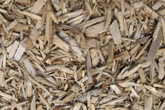 biomass boilers Pandyr Capel